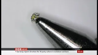 Tiny robotic crab is smallest-ever remote-controlled walking robot (USA/Global) - BBC News