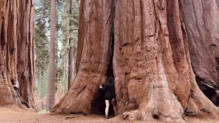 #17 | I found a secret place in Sequoia National Park