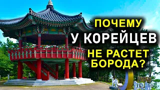 ПОЧЕМУ У КОРЕЙЦЕВ НЕ РАСТЕТ БОРОДА