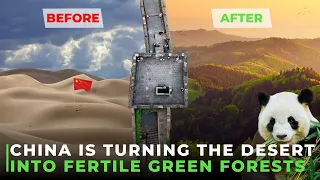 CHINA Is REFORESTING The Desert With These WEIRD Methods!