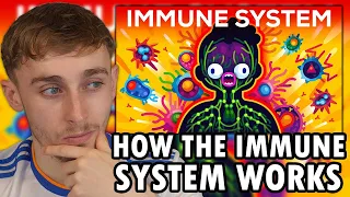 Reacting to How The Immune System ACTUALLY Works