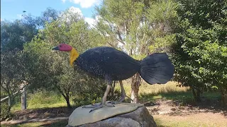 Scrub turkey monument in the town of Haden in SE Queensland