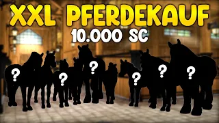 PFERDEKAUF ESKALATION! 😱 10.000 Star Coins ärmer... 🤪💗 - Blackmoon Stable