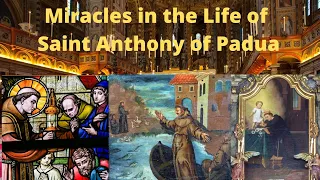 Miracles in the LIfe of Saint Anthony of Padua