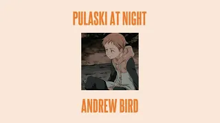 Andrew Bird - Pulaski at Night {slowed + reverb}