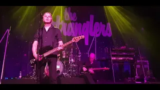 The Stranglers. La folie. l'oppidum Champagnole.17/03/2023