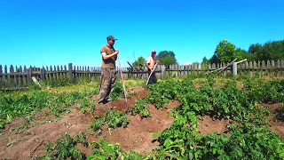 ЖИЗНЬ В ГЛУХОЙ ДЕРЕВНЕ / ДЕРЕВЕНСКИЕ ХЛОПОТЫ