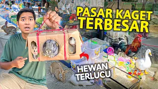 BELI HEWAN APAPUN TERLUCU DI PASAR KAGET TERBESAR BANDUNG! STADION BANDUNG LAUTAN API!