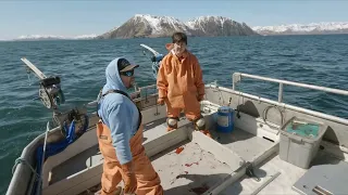 Fishing and Delivering Cod in Alaska! 2023