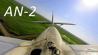 Antonov An-2 | Crop Dusting Plane ( Men at Work )