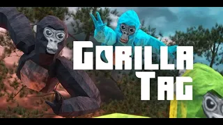 gorilla tag (live)
