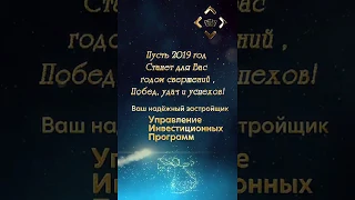 С Новым годом 2019!