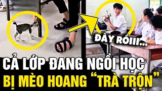 Đang ngồi học thì bị 'KẺ LẠ' trà trộn, thầy giáo bất lực vì HỌC SINH ko tập trung | Tin Nhanh 3 Phút