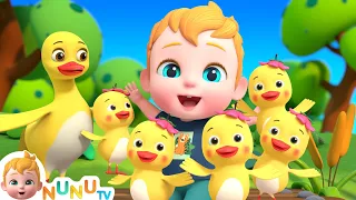 Number Song | Five Little Ducks | Nursery Rhymes & Kids Songs | NuNu Tv