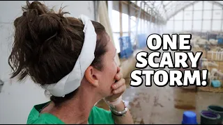 that escalated quickly.  (FLOODING, RAINING & AN EMERGENCY SHEEP BARN CLEAN OUT): Vlog 328