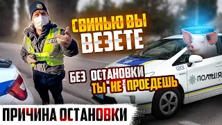 ПОЛИЦИЯ УКРАИНЫ ТУПАЯ ПРИЧИНА ОСТАНОВКИ АВТО