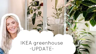 I changed some things...2 month greenhouse cabinet UPDATE!