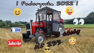 ! 😍Podorywka,Orka{pokładanie} 2022😂 ! MF255❤/3Skiby !🥶