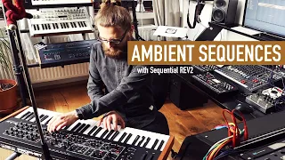 Ambient Sequences with Sequential Rev2