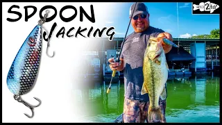 Improved Tips for Fishing Flutter Spoons with James Watson