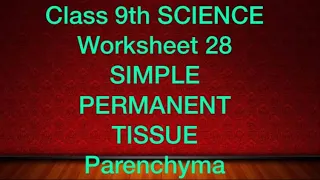 class 9th  SCIENCE  Worksheet  28 SIMPLE PERMANENT TISSUES  PARENCHYMA