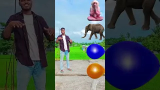 October 5, Balloon to Monkey, Elephant, Dog, & Parrot -funny vfx magic video #shorts