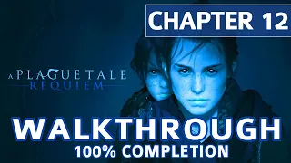 A Plague Tale Requiem Walkthrough: Chapter 12 The Life We Deserve - 100% Completion