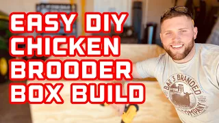 DIY Baby Chick Brooder Box Build