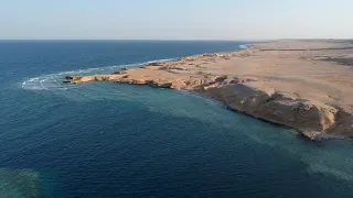 Egypt Hurghada Makadi Bay Fly Beach Under Water