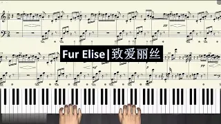Fur Elise | Slow | Easy | Piano Tutorial | 致爱丽丝 | 慢速 | 跟弹 | 简易版 | 钢琴指法 | 视频教学