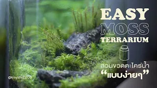 สวนขวดตะไคร่น้ำแบบง่ายๆ |  Easy Moss Terrarium Idea