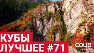 Best Coubs | Кубы лучшее #71