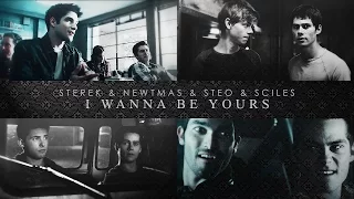sterek & newtmas & steo & sciles ❖ wanna be yours