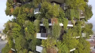 milan vertical forest turns 5