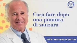 Puntura di zanzara: come intervenire? - I consigli dei dermatologi Istituto Dermoclinico Vita Cutis