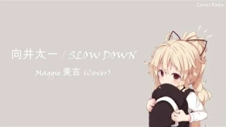 Slow Down 向井太一 ／ Maggie 麦吉 (Cover) | Lyrics/Lyric Video [Japanese_Romaji_English]