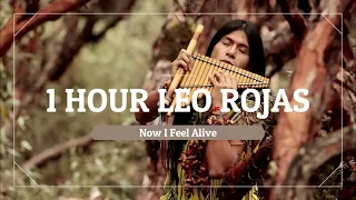 Leo Rojas - Now I Feel Alive (1 HOUR )