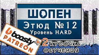 Шопен - Революционный Этюд №12  🎹 Как Играть на Пианино