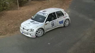 Clip Personalizzata Zappettini - Oberti Peugeot 106 Maxi Kit 3° Rally del Piemonte 2017