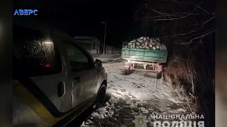 На Волині зупинили трактор навантажений деревиною