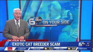 INVESTIGATIONS: Exotic cat breeder scam