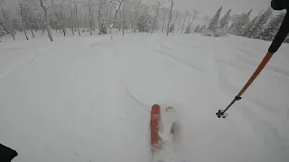 Steamboat Springs, James Bond Trees w/ V, 1/28/23