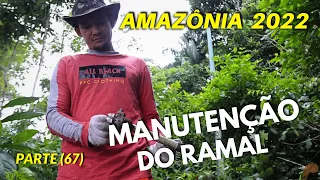 BACK TO THE MANGUEIRA COMMUNITY (PART 67) AMAZON MAINTENANCE