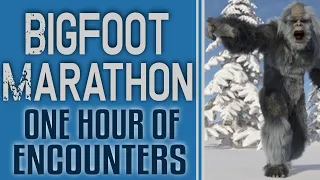 Bigfoot Ultra Marathon #12 - Over One Hour of Bigfoot Encounters