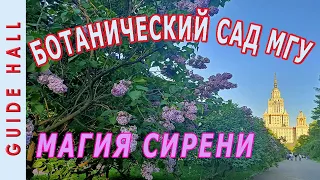 КОЛЛЕКЦИЯ СИРЕНИ, БОТАНИЧЕСКИЙ САД МГУ - создатели, экскурсия, сорта. Как добраться и цена билета?