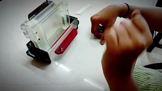 PAGE : VERTICAL GEL ELECTROPHORESIS apparatus assembling