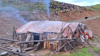 Himalayan Village Life |Nepal |Dolpa | Shepherd Food | himalayan Shepherd Life | Real Nepali Life🇳🇵