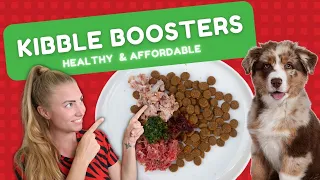 BOOST YOUR DRY DOG FOOD: 3 additions to make your kibble healthier!