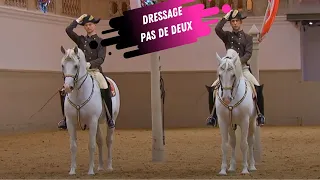 Spanish Riding School Pas De Deux - White Lippizaner Stallions