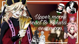 🍒🌸Upper Moons Reacting to ||Sakura as New Upper Moon||🌸🍒